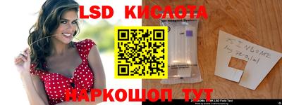 прущие грибы Абакан