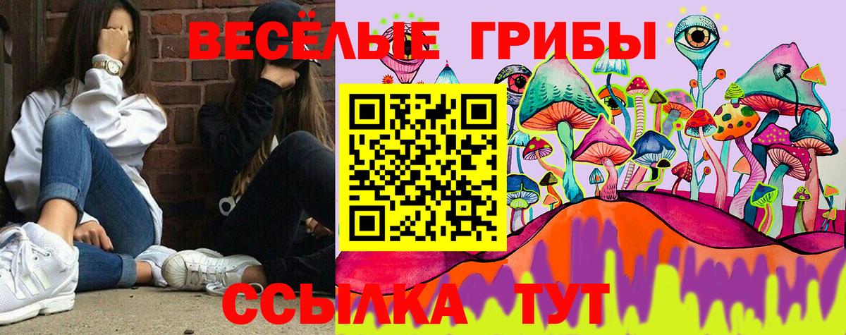 Псилоцибиновые грибы прущие грибы  дарнет шоп  Артёмовский 