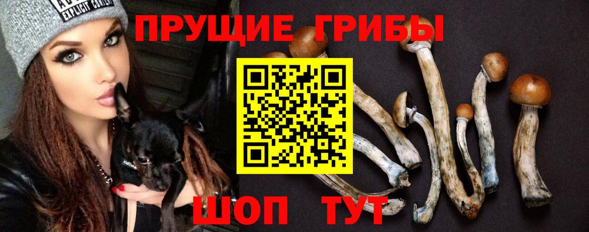 Псилоцибиновые грибы Magic Shrooms Артёмовский