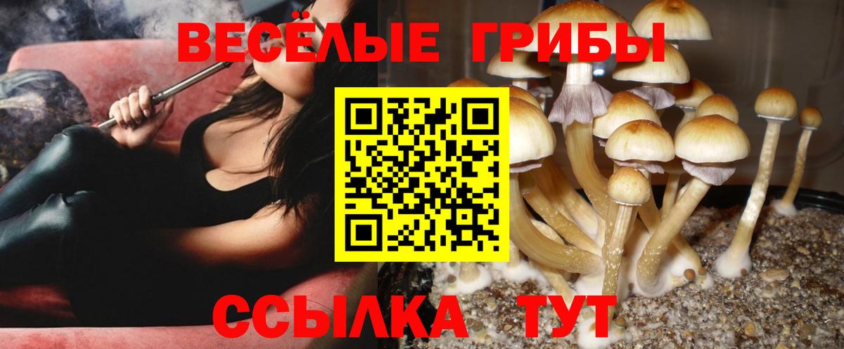 Псилоцибиновые грибы Magic Shrooms Артёмовский
